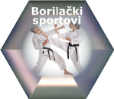 Borilački sportovi